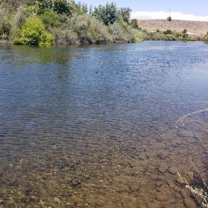 Meet your Posher, Melvin